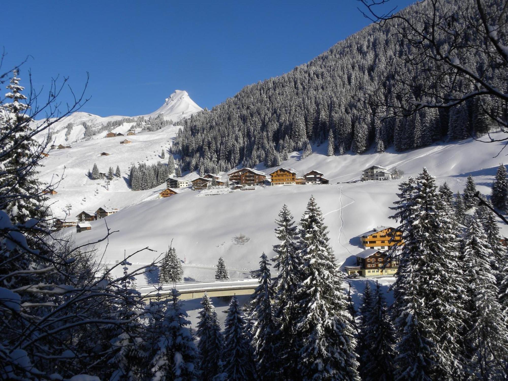 Hotel Alpenblume Damuels Luaran gambar